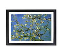 Vincent Van Gogh Blossoming Almond Branches (1) Framed Print | A2 Black Framed Wall Art | Ready to Hang | Modern Historical Picture | Living Room Bedroom Lounge Office