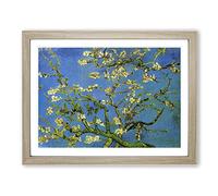 Vincent Van Gogh Blossoming Almond Branches No.1 Classic Painting Framed Print | A2 Oak Framed Wall Art | Ready to Hang | Classic Historical Picture | Living Room Bedroom Lounge Office