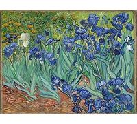 Vincent Van Gogh Reproduction painting Irises 1889 iconic Poster Wall Art Print A4 and A3 (A3) (A3)