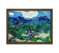 Vincent Van Gogh The Olive Trees Large Framed Art Print Poster Wall Decor 18x24