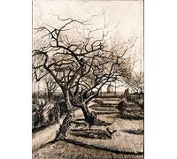 Vincent Van Gogh: The Parsonage Garden at Nuenen in Winter. Fine Art Print/Poster (29.7cm x 21cm)