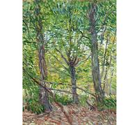 Vincent Van Gogh Trees and Undergrowth 1887 Large Art Print Poster Wall Decor Premium Mural