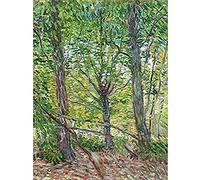 Vincent Van Gogh Trees and Undergrowth 1887 Unframed Wall Art Print Poster Home Decor Premium