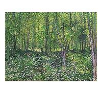 Vincent Van Gogh Trees And Undergrowth Unframed Wall Art Print Poster Home Decor Premium