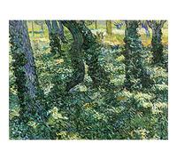 Vincent Van Gogh Undergrowth Art Print Canvas Premium Wall Decor Poster Mural