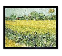 Vincent Van Gogh Veld Met Bloemen Bij Arles Unframed Wall Art Print Poster Home Decor Premium