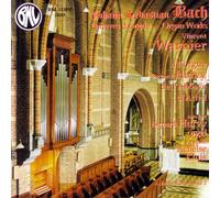 Vincent Warnier A l'orgue Bern - BNL 112893 - DELETED