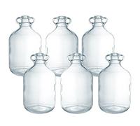 Vin ulk Pack of 6 - Clear Glass 1 Gallon / 5 Litre Demijohns