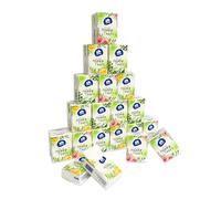 Vinda 3-Ply Mini Pocket Tissues, Portable Series Facial Tissue Travel Size for Happy Tears Wedding Party (36 Packs of 10 Tissues)