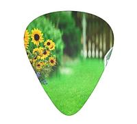 Vine Fence Grassland Sunflower Printed Guitar Picks With Organizer Storage Box 0.46 0.71 0.96 Mm Includes Thin Medium Heavy For Bass Electric Acoustic Guitars Ukulele 12 Pack
