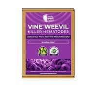 Vine Weevil Killer Nematodes for Plants Covers 100 m² (50 million) | Organic Heterorhabditis Bacteriophora | Safe for Pets & Wildlife | Effective Root Feeding Larvae Control | For Ornamentals & Fruits