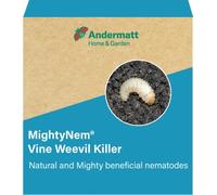 Vine Weevil Killer Nematodes - Treats 10sqm