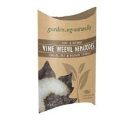 Vine Weevil Nematodes Natural Organic Killer Treats 100sq.m