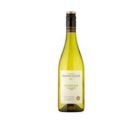 Vinedos Santa Lucia Special Release Sauvignon Blanc 2023 - White - 750ml