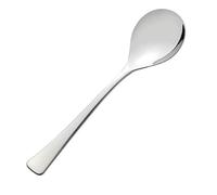 Viners Darwin 18/10 Stainless Steel Serving Spoon