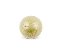 Vinex Cast Iron Javelin Training Ball - 500 g