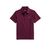 Vineyard Vines Boys' Bradley Stripe Sankaty Performance Polo, Crimson/Deep Bay, 5