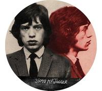 Vinile Rolling Stones (The) - In Session 1964-1965 (Picture Disc)