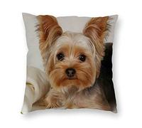 VinMea Decorative Standard Size Pillow Covers Pillowcase Gorgeous Yorkshire Terrier Square Plush Throw Pillow Case Cushion Cover Home Decor 20" X 20"