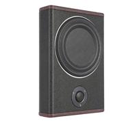 vinnyooc 8 Inch 600 W Active Subwoofer, Audio Bass Box Speaker, Car Under Seat Slim Amplifier Bass High Power Speaker for Cars Trucks Jeeps