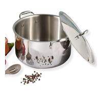 Vinod Platinum Triply Stainless Steel Biryani Pot with Lid - 11 Litre, 30 cm | Heavy Bottom | Riveted Handle| Cooking Pot | Induction and Gas Base | 5 Year Warranty - Silver