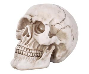 Vinsani® Life Size Replica Realistic Human Skull Bone Model for Gothic Halloween Party Decoration Accessories Props Ornament Skeleton Anatomical Medical Teaching
