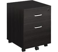 Vinsetto Mobile File Cabinet with 2 Drawers, Locking, Rolling Office Filing Cabinet on 5 Wheels, Black Aosom UK