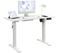Vinsetto Electric Standing Desk, 120 x 60cm Height Adjustable Sit Stand Desk with 4 Memory Presets, Collision Avoidance and Overheat Protection for Home Office, White White
