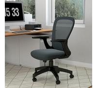 VINSETTO Ergonomic Mesh Office Chair with Adjustable Arm Lumbar Back Support in Grey VINSETTO Grey