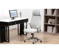Vinsetto Mesh Back Office Chair w/ Adjustable Height Padded Headrest VINSETTO Grey One Size