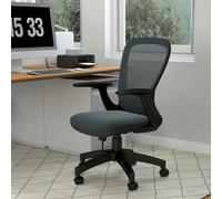 Vinsetto Mesh Office Chair, Computer Chair with Adjustable Armrest, Grey - Charcoal grey