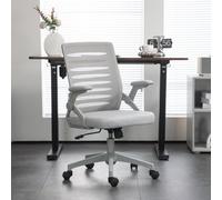 Vinsetto Mesh Office Chair Home Swivel Task Chair W/ Lumbar Support, Arm, Grey, Grey