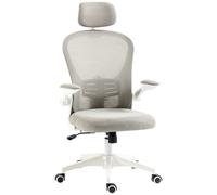 Vinsetto Multi-Adjustable Office Chair, Ergonomic Desk Chair with Lumbar Support, Headrest and Mesh Back for Home & Office, Grey Aosom UK