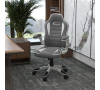 VINSETTO Racing Gaming Chair Height Adjustable Swivel with Flip Up Armrests in Grey VINSETTO Grey