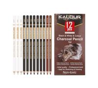 VINSPIRE 12 Pcs Mixed Charcoal Pencils Set, Black White Brown Suntan Professional Art Drawing Supplies, for Sketching Shading Blending Portrait Drawing, Artist Pencils for Beginners & Pro Artists