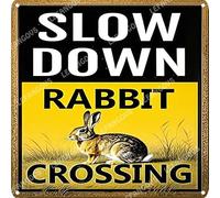 Vinstralivye Vintage Metal Tin Signs 12x12IN SLOW DOWN RABBIT CROSSING Sign Funny Garage Man Cave Decor