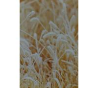 Vintage 1986 Golden Serenity Journal - Lined Notebook for Creative Reflections: Rustic Wheat Fields, Timeless Charm