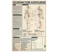 Vintage Acupuncture Knowledge Acupuncture Infographics Reading Acupuncturists Guide Clinic Offic Poster Metal Aluminium Tin Sign 8x6 Inch Wall Decor