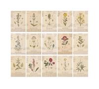 Vintage Aesthetic Scrapbook Kit 30 Sheets Vintage Scrapbook Paper Large Size Non-Sticky Scrapbook Supplies Pack for Scrapbooking Journaling Junk DIY Art Craft Aesthetic Scrapbook Kit(G)