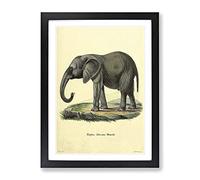 Vintage African Elephant Vintage Framed Print | A2 Black Framed Wall Art | Ready to Hang | Classic Animal Picture | Living Room Bedroom Lounge Office