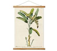 Vintage Banana Tree Poster Hanger Frame, Retro Style of Wall Art Prints, Printed on Linen with Natural Wooden Frames, Illustrative Reference Chart Poster for Living Room Office Bedroom
