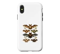 Vintage Bat Specimen Plate Natural History Nature Art Case for iPhone X/XS