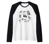Vintage Birds Field Guide Illustration Naturalist Birders Raglan Baseball Tee