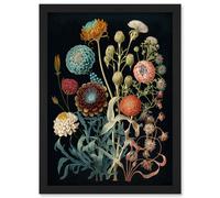 Vintage Botanical Ernst Haeckel Style Plant Study Modern Watercolour Painting Illustration Artwork Framed Wall Art Print A4 Artery8 Black One Size