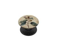 Vintage Botanical Illustration White Floral Branch PopSockets Adhesive PopGrip