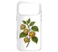 Vintage Botanical Physalis Golden Berry Art Print Case for iPhone 17 Pro Max