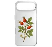 Vintage Botanical Rosehip Nature Fruit Art Print Case for iPhone Air