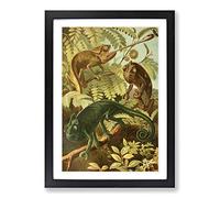 Vintage Brehms Tierlben Chameleon Framed Print | A2 Black Framed Wall Art | Ready to Hang | Classic Nature Picture | Living Room Bedroom Lounge Office