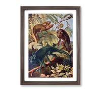 Vintage Brehms Tierlben Chameleon Vintage Framed Wall Art Print, Ready to Hang Picture for Living Room Bedroom Home Office Décor, Walnut A2 (64 x 46 cm)