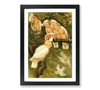 Vintage Brehms Tierlben Major Mitchell's Cockatoo Framed Print | A2 Black Framed Wall Art | Ready to Hang | Classic Nature Picture | Living Room Bedroom Lounge Office